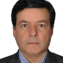 Mohammad Taghi Taghavifard