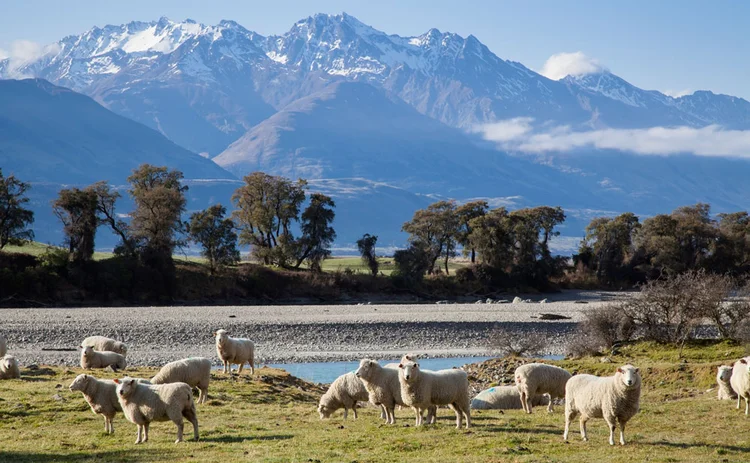 New Zealand