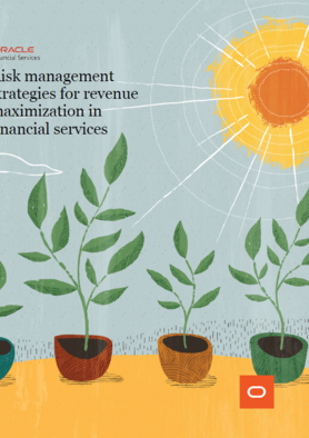 Risk management strategies for revenue maximisation in financial services