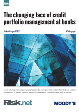 The changing face of credit portfolio management at banks