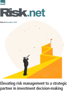 Elevating risk management to a strategic partner in investment decision-making