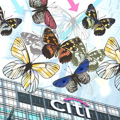 Risk-0519-lead-illo-citi-butterflies